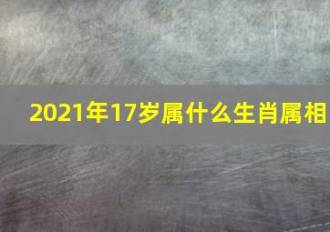 2021年17岁属什么生肖属相