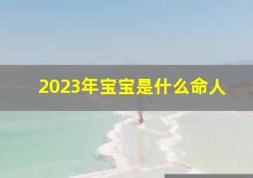 2023年宝宝是什么命人