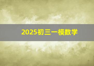 2025初三一模数学