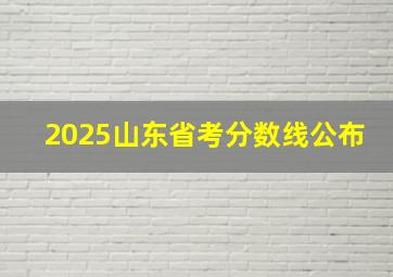 2025山东省考分数线公布