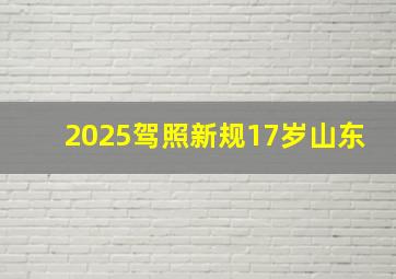 2025驾照新规17岁山东