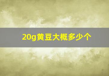 20g黄豆大概多少个