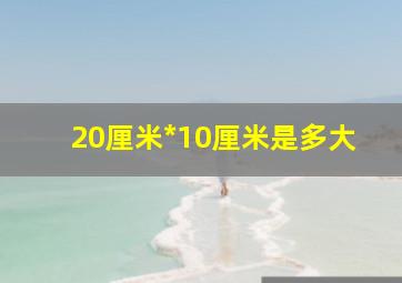 20厘米*10厘米是多大