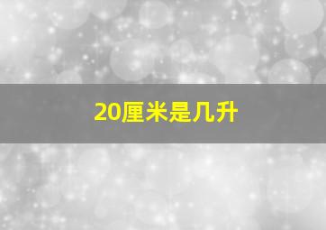 20厘米是几升