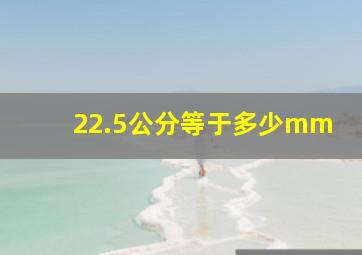 22.5公分等于多少mm