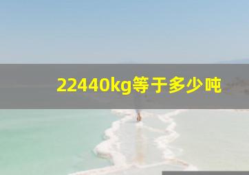 22440kg等于多少吨