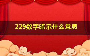 229数字暗示什么意思