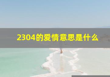 2304的爱情意思是什么