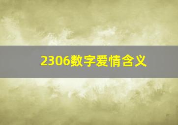 2306数字爱情含义