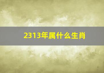 2313年属什么生肖