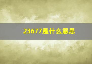 23677是什么意思