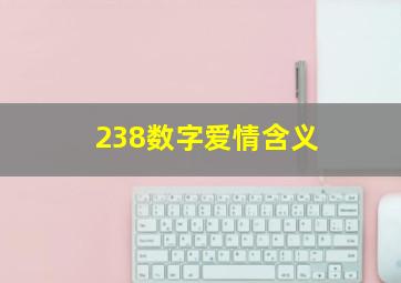 238数字爱情含义