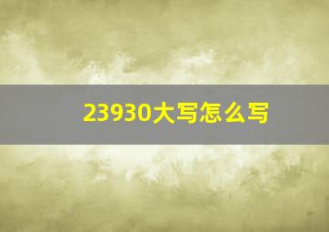 23930大写怎么写