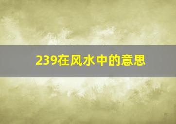 239在风水中的意思