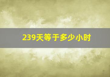 239天等于多少小时