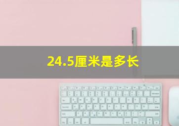 24.5厘米是多长