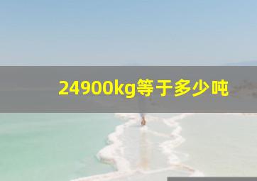 24900kg等于多少吨