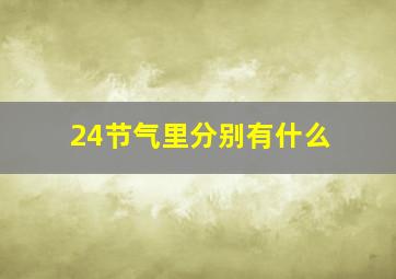 24节气里分别有什么