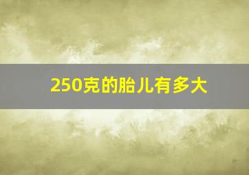 250克的胎儿有多大