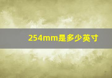 254mm是多少英寸