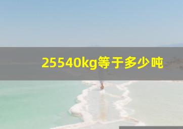 25540kg等于多少吨