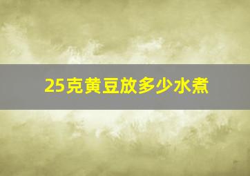 25克黄豆放多少水煮