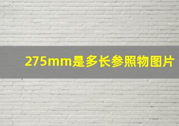 275mm是多长参照物图片