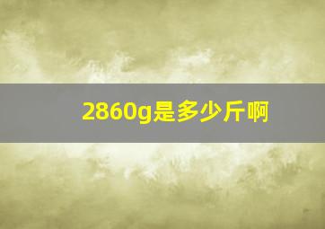 2860g是多少斤啊