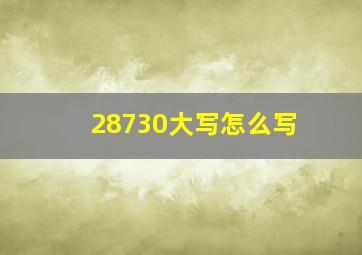 28730大写怎么写