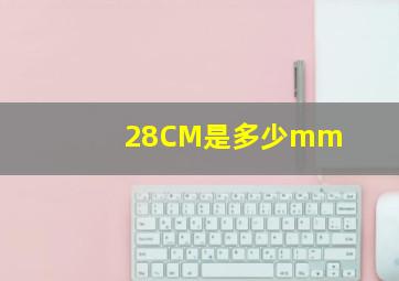 28CM是多少mm