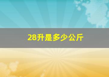 28升是多少公斤