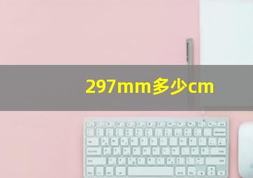 297mm多少cm