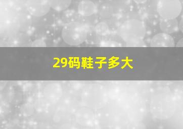 29码鞋子多大