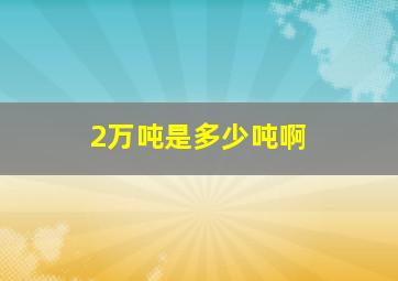 2万吨是多少吨啊