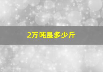 2万吨是多少斤