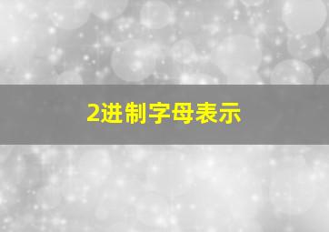 2进制字母表示