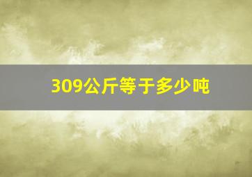 309公斤等于多少吨