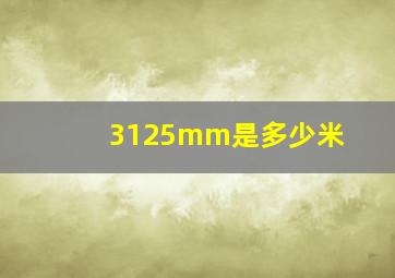 3125mm是多少米