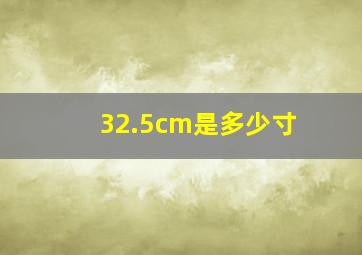 32.5cm是多少寸