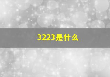 3223是什么