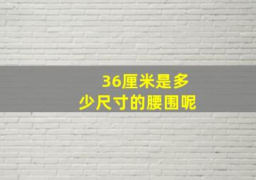 36厘米是多少尺寸的腰围呢