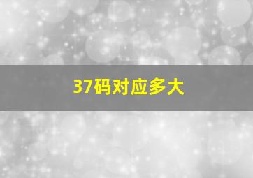 37码对应多大