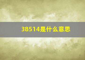 38514是什么意思