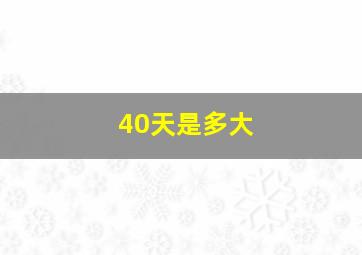 40天是多大