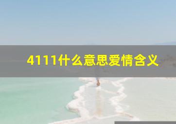 4111什么意思爱情含义