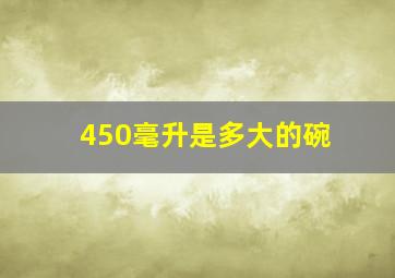 450毫升是多大的碗