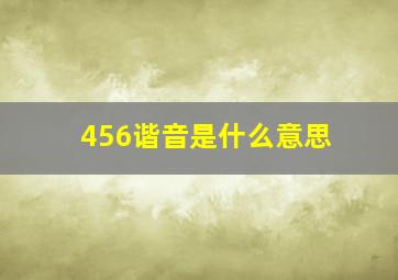 456谐音是什么意思