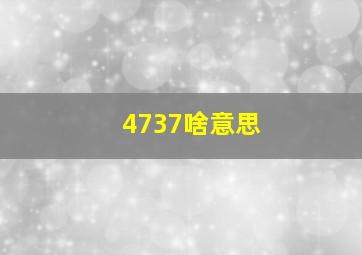 4737啥意思