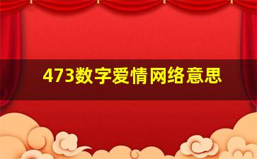 473数字爱情网络意思