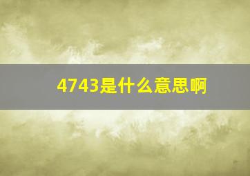 4743是什么意思啊